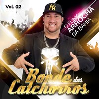 Novinha Sensacional - Bonde dos Catchorros