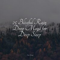 Ocean Waves and Seagulls - Baby Sleep & Sleep Sounds & Zona Música Relaxante