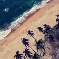 Refined Music for Summer 2021 - Bossa Nova Deluxe