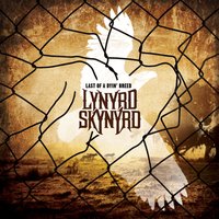 Ready to Fly - Lynyrd Skynyrd