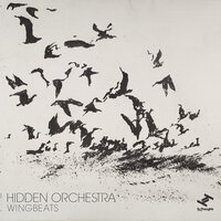 Wingbeats Source II: Cello - Hidden Orchestra