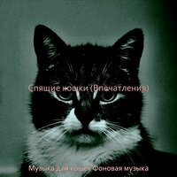 Чувство (Кошки) - Музыка для кошек Фоновая музыка