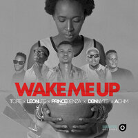 Wake Me Up - Prince Benza & Achim & Leon Lee & TCIRE & DbnNyts