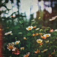 Only For You - Piago