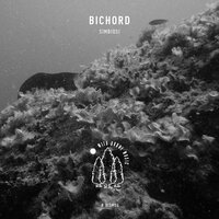 Borderline - Bichord