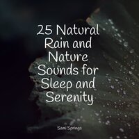 Rain Out Back - Meditacao Clube & White Noise for Deeper Sleep & Tranquil Music Sounds of Nature