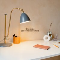 Ventana al Conocimiento - Estudio y Musica Specialists & Academia de Música para Estudiar Fácilmente & Concentracion Examenes