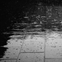 Draining Rains - Nature Soundscape & ReGen & Rain Recorders
