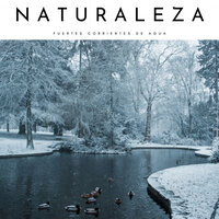 Salpicaduras Suaves De Río - Sonidos de la Naturaleza Relajacion & Sonidos De Agua & Música de relajación profunda