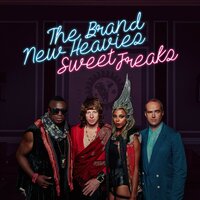 Self Portrait - The Brand New Heavies