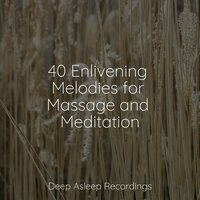Zen Garden - Kinderlieder-Superstar & Ocean Waves for Sleep & Organic Nature Sounds