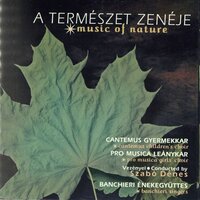 Szentivánéji út - Pro Musica, Szabó Dénes & Szabó Dénes & Pro Musica