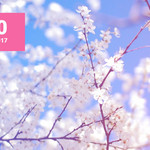 ТОП 100 Muzmo апрель 2017