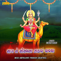 Saag Re Sisam Na Jadva Vdhavya - Meena Thakor