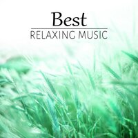 Deep Meditation - The Best Relaxing Music Academy