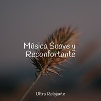 Noche Relajarse - Unidad de música zen relajante & Meditacion & Musica Para Dormir y Sonidos de la Naturaleza