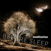 Restorative Sleep (Regeneration) - Deep Sleep Music Maestro