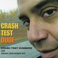 Keep a Lid on Things - Crash Test Dummies