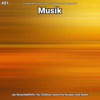 Musik Teil 81 - Entspannungsmusik Nils Stieldorff & Schlafmusik & Entspannungsmusik