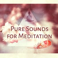 The Sunset - Pure Meditation Collection