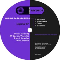 I Like It - Dylan Earl Barnes & NIARA