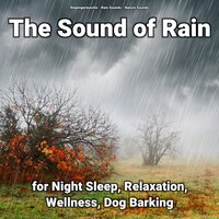 Rain Sounds for Sleeping - Nature Sounds & Rain Sounds & Regengeräusche