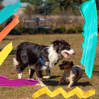 Fantastic Ambiance for Restless Puppies - Dog Music Experience