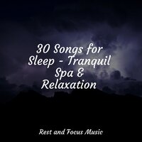 Meditative Mantra - Sleepy Times & White Noise Relaxation & Classical Study Music