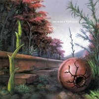 Foliage Pathway - secede