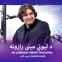 Da Lewanay Meeny Razoona - Naseeb Saqeb