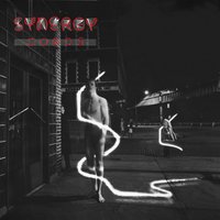 Trellis - Synergy & Larry Fast