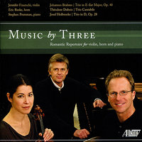 Trio in D, Op. 28: Larghetto sostenuto - Stephen Prutsman & Eric Ruske & Jennifer Frautschi