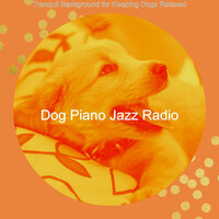 Subdued Music for Calming Your Dog - Dog Piano Jazz Radio