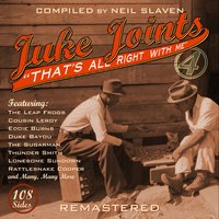Riding in the Moonlight - Willie Nix