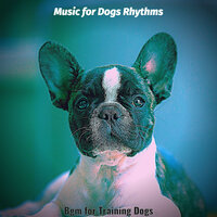 Grand Dogs - Music for Dogs Rhythms