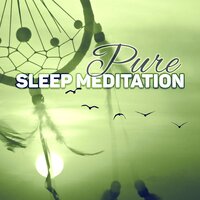 Mind and Body Harmony - Deep Sleep Meditation Guru