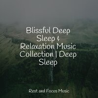 Lily - Namaste Healing Yoga & Studying Music & Música para Relaxar Maestro