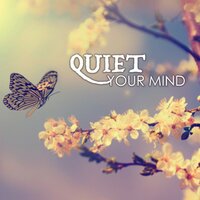 Sleeping Songs - Quiet Music Academy