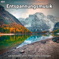 Beruhigende Musik - Entspannungsmusik & Schlafmusik & Entspannungsmusik Bodo Steier