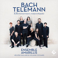 Concerto for Recorder, Transverse Flute, Strings and Continuo in E Minor, TWV 52:e1: I. Largo - Ensemble Amarillis & Amélie Michel & Héloïse Gaillard & Георг Филипп Телеман