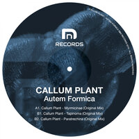 Tapinoma - Callum Plant