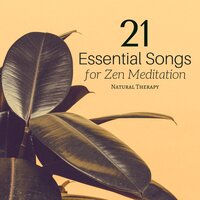 Nature Sounds - Yoga Music for Yoga Class