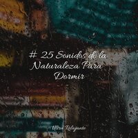 Calma Y Delicadeza - Canção de Ninar Bebê & Piano para Relajarse & Canciones Para Niños