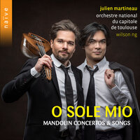 Sonata per Rovene in E Minor, MS 14: I. Introduzione. Largo - Andante sostenuto - Julien Martineau & Philippe Mouratoglou & Никколо Паганини
