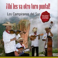 Ilusión de Amor (Gusto) - Los Campiranos del Sur