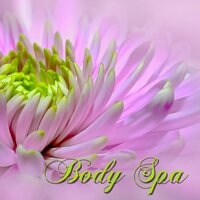 Detox (Soothing Sounds) - Pure Massage Music