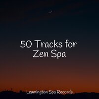 Serene Sounds - Crying & Colic Relief & Rain Sounds & Sonidos de lluvia para dormir