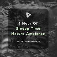 Mystic Bird Song - Sleep Atmospheres