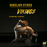 Vikings - Aurelien Stireg & In-Sane