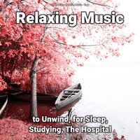 Walk - Relaxing music & Yoga & Sleep Music